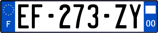 EF-273-ZY