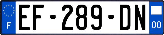 EF-289-DN