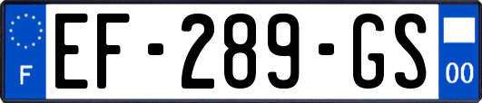 EF-289-GS