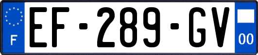 EF-289-GV