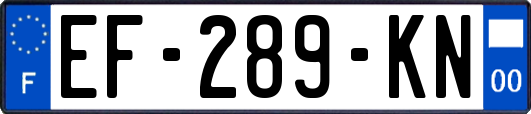 EF-289-KN