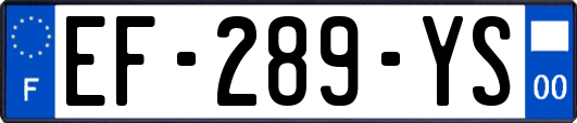 EF-289-YS