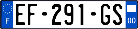EF-291-GS
