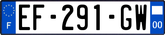 EF-291-GW