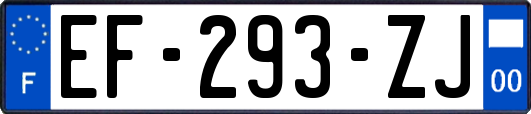 EF-293-ZJ