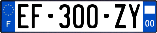 EF-300-ZY