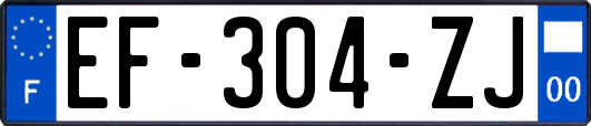 EF-304-ZJ