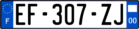 EF-307-ZJ