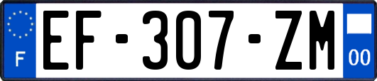 EF-307-ZM