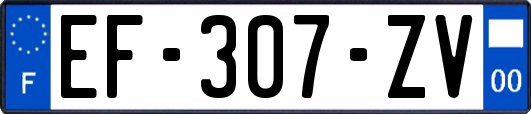 EF-307-ZV