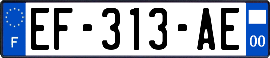 EF-313-AE