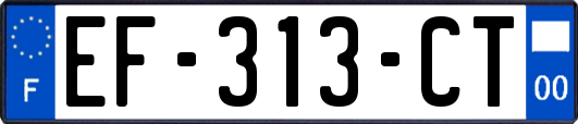 EF-313-CT