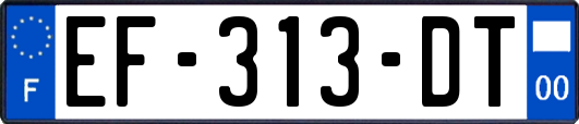 EF-313-DT