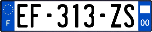 EF-313-ZS