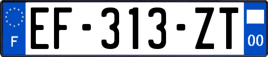 EF-313-ZT