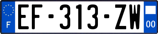 EF-313-ZW