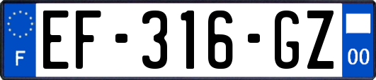 EF-316-GZ