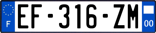 EF-316-ZM