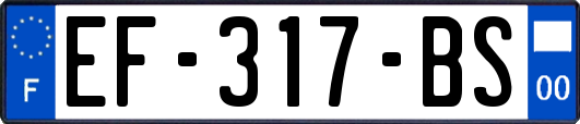 EF-317-BS