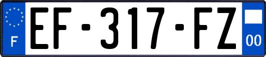 EF-317-FZ