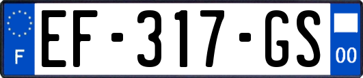 EF-317-GS