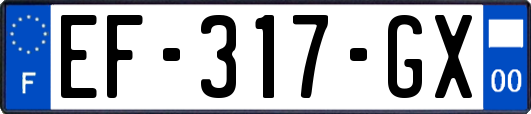 EF-317-GX