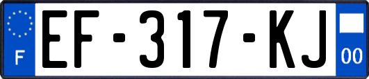 EF-317-KJ