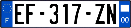 EF-317-ZN