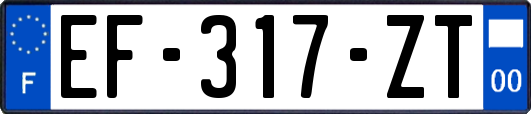 EF-317-ZT