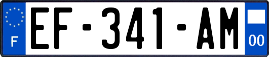 EF-341-AM