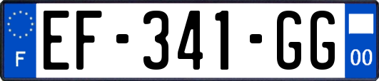 EF-341-GG