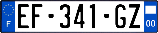 EF-341-GZ