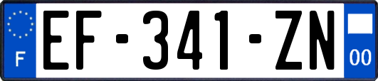 EF-341-ZN