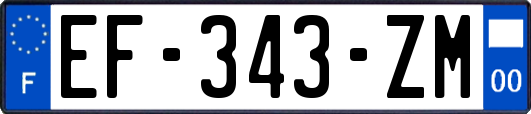 EF-343-ZM