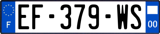 EF-379-WS