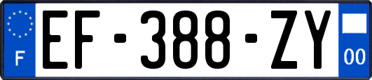 EF-388-ZY