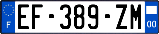 EF-389-ZM