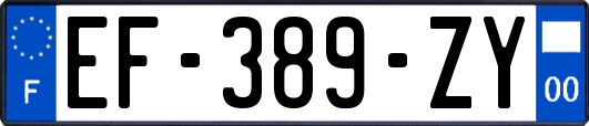 EF-389-ZY