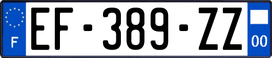 EF-389-ZZ