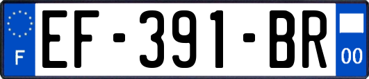 EF-391-BR