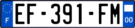 EF-391-FM