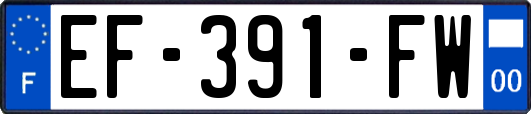 EF-391-FW
