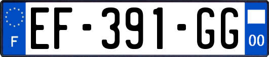 EF-391-GG