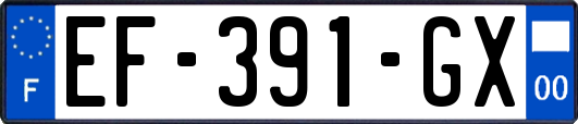 EF-391-GX