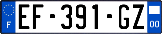 EF-391-GZ