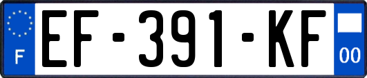 EF-391-KF