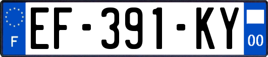 EF-391-KY