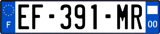 EF-391-MR