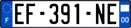 EF-391-NE