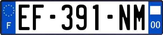 EF-391-NM